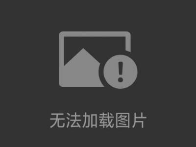 汽車衡維修；皮帶秤定制