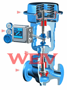 ��ӱ�Ĥ�����{���y����ԭ��D